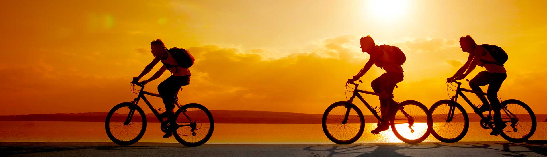 aktivitaten hotel carabela paguera