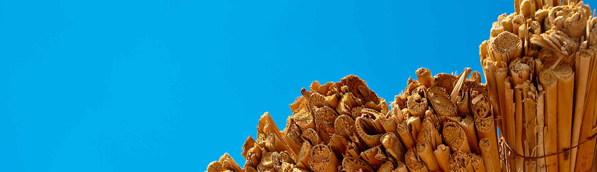 paguera hotel carabela mallorca